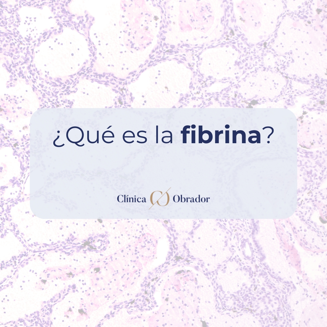fibrina